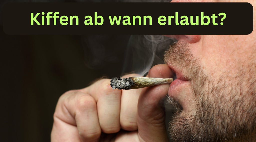 Wann wird Cannabis Anbau legal in Deutschland und wann kommt das Gesetz?